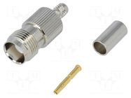 Connector: TNC; plug; female; straight; 50Ω; crimped; for cable AMPHENOL RF