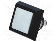 Switch: vandal resistant; Pos: 2; SPST-NO; 2A/36VDC; IP65; OFF-(ON) ONPOW