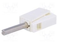 Connector: 4mm banana; plug; 20A; 42V; white; non-insulated; 40mm WAGO