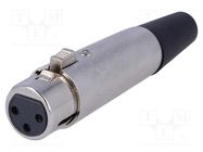 Connector: XLR; plug; female; PIN: 3; straight; for cable NINIGI