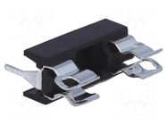 Fuse holder; 22mm; Leads: for PCB PROFFUSE