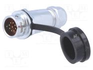 Plug; SF12; male; PIN: 9; IP67; 4÷6.5mm; 3A; soldering; for cable WEIPU