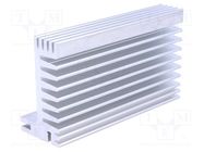 Heatsink: extruded; TO220; natural; L: 94mm; W: 55mm; H: 31mm; 2.9K/W 