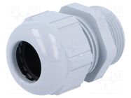 Cable gland; PG21; IP68; polyamide; grey; UL94V-2; SKINTOP® LAPP