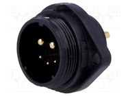 Socket; SP21; male; PIN: 5(2+3); IP68; 5A,30A; soldering; 500V WEIPU