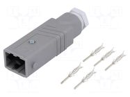 Connector: rectangular; ST; plug; male; PIN: 5; silver plated; IP54 HIRSCHMANN