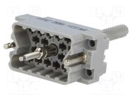 Connector: rectangular; plug; hermaphrodite; polycarbonate; 2kV EDAC