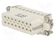 Connector: HDC; contact insert; female; C146,heavy|mate; PIN: 16 AMPHENOL