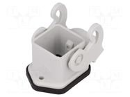 Enclosure for connectors: HDC; size 21.21; for panel mounting ILME