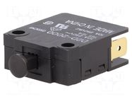 Switch: door; Pos: 2; SPST-NO + SPST-NC; 16A/250VAC; black; D2D OMRON Electronic Components