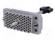 Connector: rectangular; socket; hermaphrodite; Mat: polycarbonate EDAC