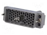 Connector: rectangular; 516; plug; hermaphrodite; PIN: 56; 2kV EDAC