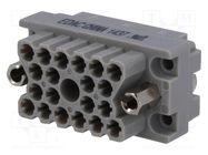 Connector: rectangular; socket; hermaphrodite; polycarbonate EDAC