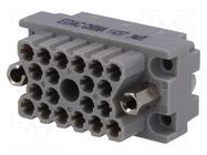 Connector: rectangular; 516; socket; hermaphrodite; PIN: 20; 2kV EDAC