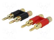 Connector: 4mm banana; gold-plated; on cable; 5A; plug; double ACV