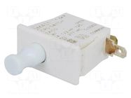 Switch: door; Pos: 2; SPDT; 10A/250VAC; white; on panel HONEYWELL