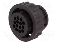 Connector: circular; plug; female; PIN: 14; w/o contacts; for cable TE Connectivity