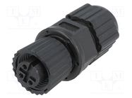 Connector: M12; plug; PIN: 3; female; A code-DeviceNet / CANopen AMPHENOL LTW