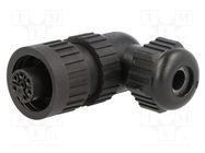 Connector: circular; plug; female; IP67; CA; PIN: 7(6+1); 6+PE; 250V HIRSCHMANN