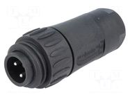 Connector: circular; plug; for cable; PIN: 4; male; screw terminal AMPHENOL