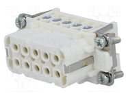 Connector: HDC; contact insert; female; C146,heavy|mate; PIN: 10 AMPHENOL