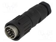 Connector: DIN; plug; male; PIN: 12; straight; for cable; soldering AMPHENOL