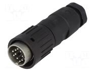 Connector: DIN; plug; male; C091B; PIN: 12; straight; for cable; 150V AMPHENOL