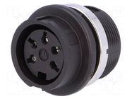 Connector: DIN; socket; female; C091B; PIN: 5; 240°; soldering; 300V AMPHENOL