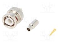 Connector: BNC; plug; male; straight; 50Ω; crimped; for cable; POM AMPHENOL RF