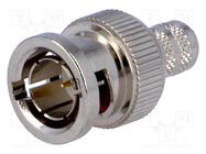 Connector: BNC; plug; male; straight; 75Ω; crimped; for cable; POM AMPHENOL RF