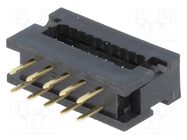 Connector: IDC transition; PIN: 10; IDC,THT; for ribbon cable CONNFLY