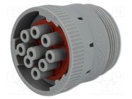 Connector: wire-wire; plug; female; AHD; for cable; PIN: 9 AMPHENOL