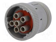 Connector: wire-wire; plug; female; AHD; for cable; PIN: 6 AMPHENOL