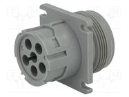 Connector: wire-wire; socket; male; AHD; for panel mounting; PIN: 6 AMPHENOL