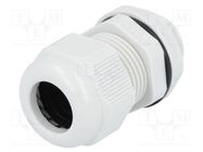 Cable gland; M20; 1.5; IP68; polyamide; grey; UL94V-2; 19.5mm KSS WIRING