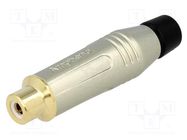 Connector: RCA; plug; female; straight; soldering; grey; for cable AMPHENOL