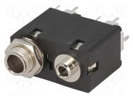 Connector: Jack 3,5mm + Jack 6,3mm; socket; female; mono,double AMPHENOL