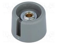 Knob; with pointer; polyamide; Øshaft: 4mm; Ø23x16mm; grey OKW