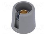 Knob; with pointer; polyamide; Øshaft: 6.35mm; Ø16x16mm; grey OKW