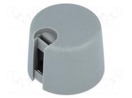 Knob; with pointer; plastic; Øshaft: 4mm; Ø20x16mm; grey; A10 OKW