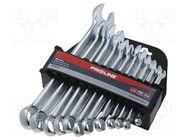 Wrenches set; combination spanner; Chrom-vanadium steel; 12pcs. PROLINE