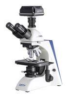 MICROSCOPE, 4X/10X/20X/40X/100X