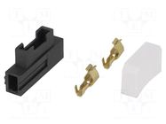 Fuse holder; transparent; automotive fuses 