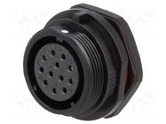 Connector: circular; socket; female; PIN: 12; IP68; SP21; 5A; 400V WEIPU