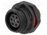 Socket; SP13; female; PIN: 7; IP68; 5A; soldering; 125V; 0.75mm2 WEIPU