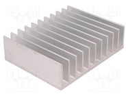 Heatsink: extruded; grilled; L: 100mm; W: 124mm; H: 35mm; aluminium STONECOLD