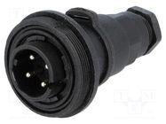 Connector: circular; plug; male; PIN: 4; Standard Buccaneer®; IP68 BULGIN