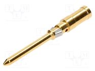 Contact; male; copper alloy; gold-plated; 1.5mm2; 16AWG; crimped HARTING