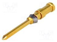 Contact; male; copper alloy; gold-plated; 1mm2; 18AWG; Han D® HMC HARTING