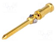 Contact; male; copper alloy; gold-plated; 0.5mm2; 20AWG; crimped HARTING